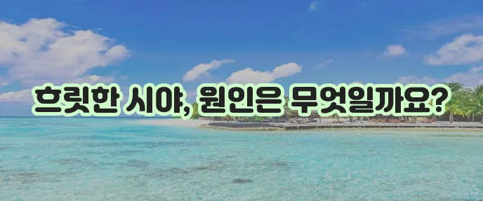 망막 전막증 수술 원인 증상까지 꼼꼼히 알아봅시다!
