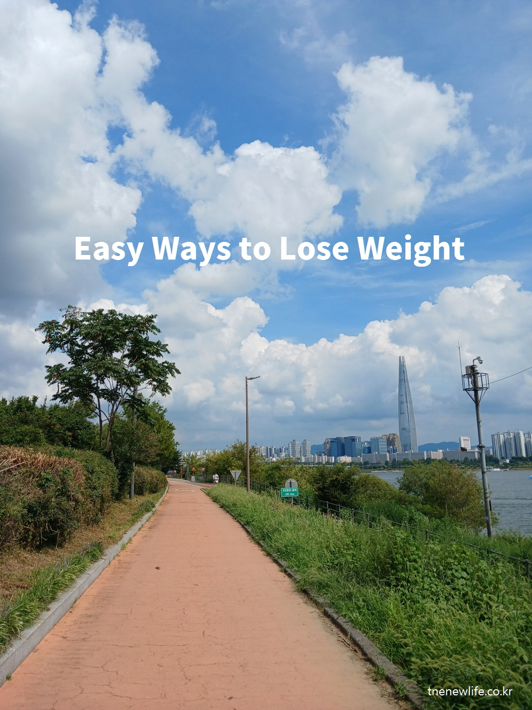 Easy Ways to Lose Weight &ndash; Walking path at Han River with Lotte Tower view