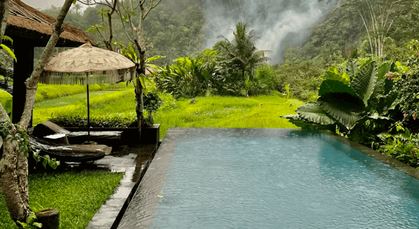 발리밸리 증상&amp;#44;예방&amp;#44;약