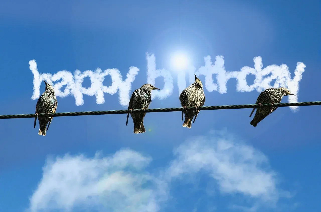 사위 생일 축하 메세지, 사위 생일 축하 문자