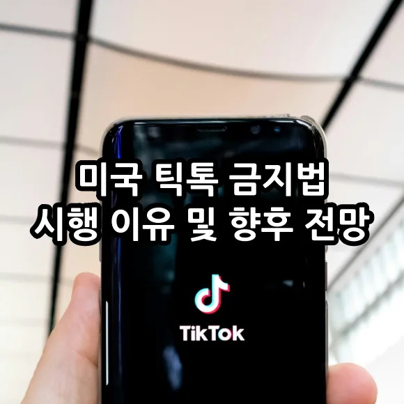 미국 틱톡 금지법 시행 이유 및 향후 전망