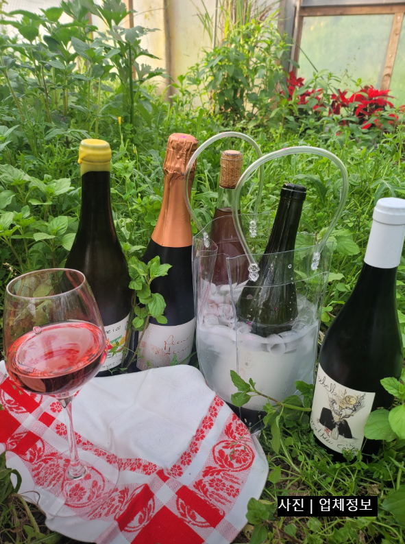 가평 데이트 여행 핫플 총정리 나는솔로 26기 프랑스가정식 두부전골 펜션 