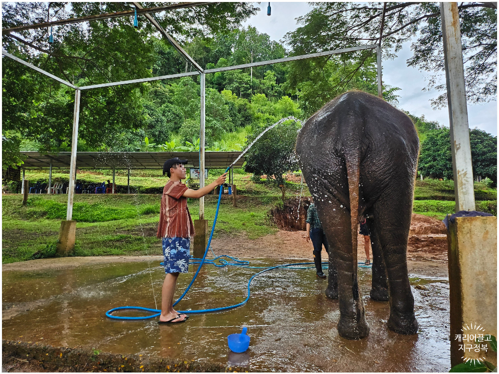 치앙마이 코끼리 보호구역