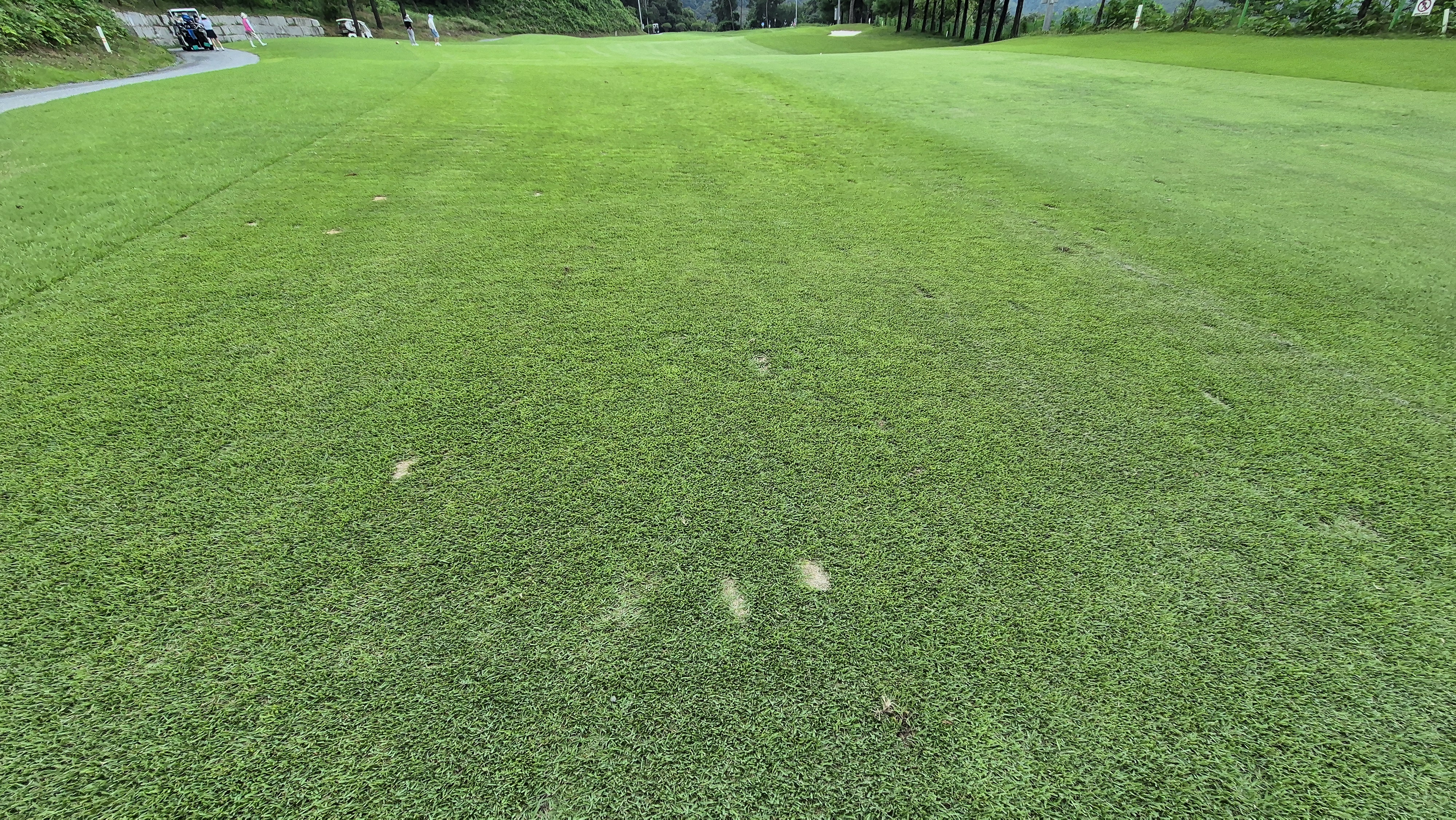 참밸리cc 라운드 후기