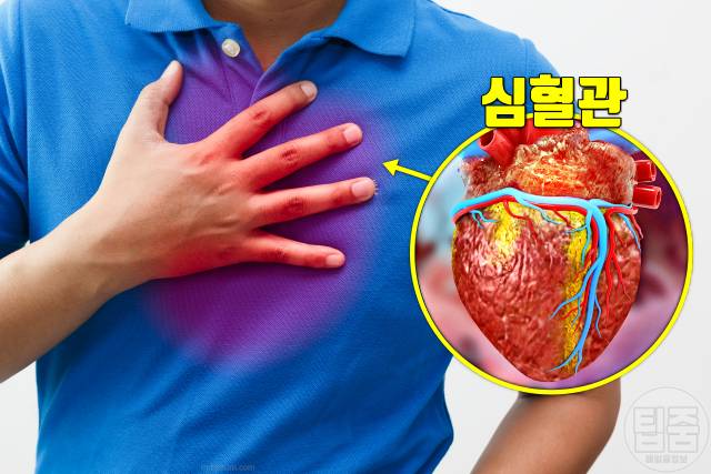 토마토효능 토마토 매일 먹으면 심장 뇌졸중