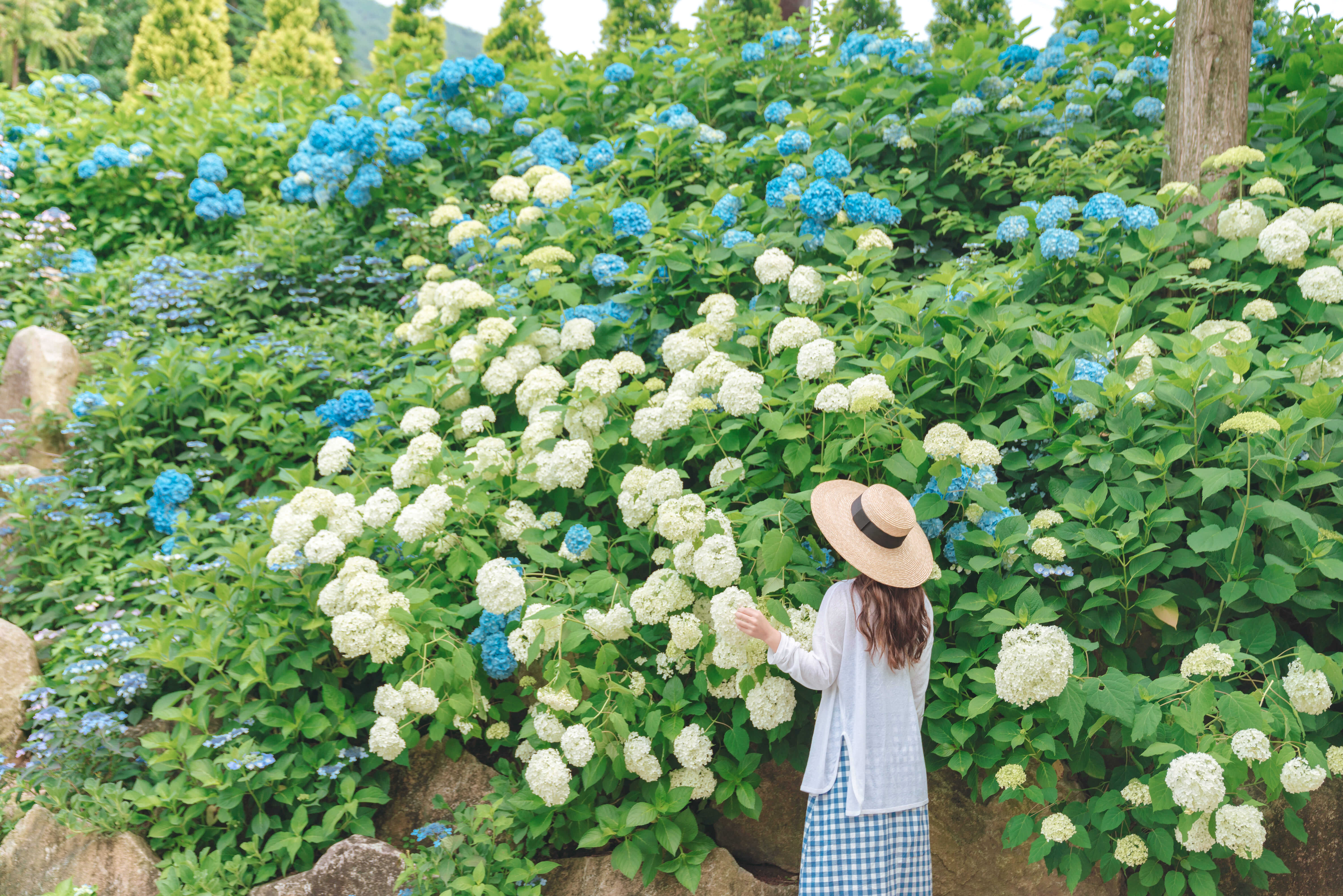 고성 그레이스정원