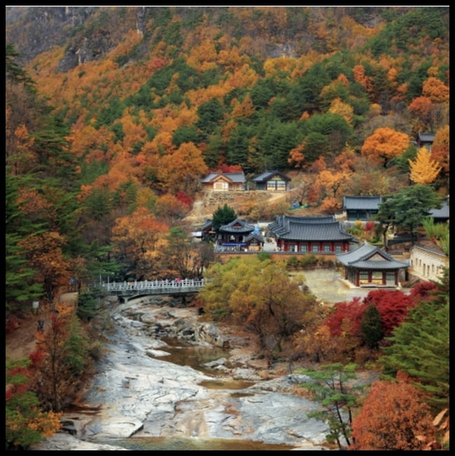 동해시-무릉계곡-트레킹-힐링코스-제1코스