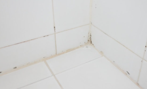 욕실 실리콘 곰팡이 제거법 