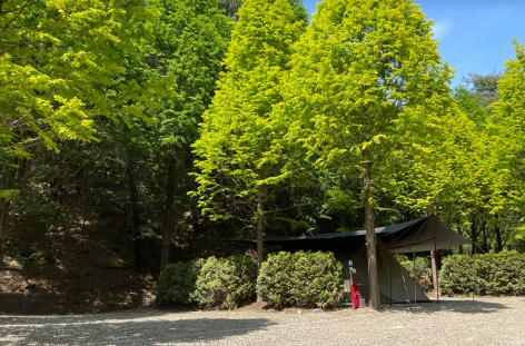 파이브이모션 캠핑장 D존