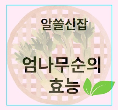 엄나무순