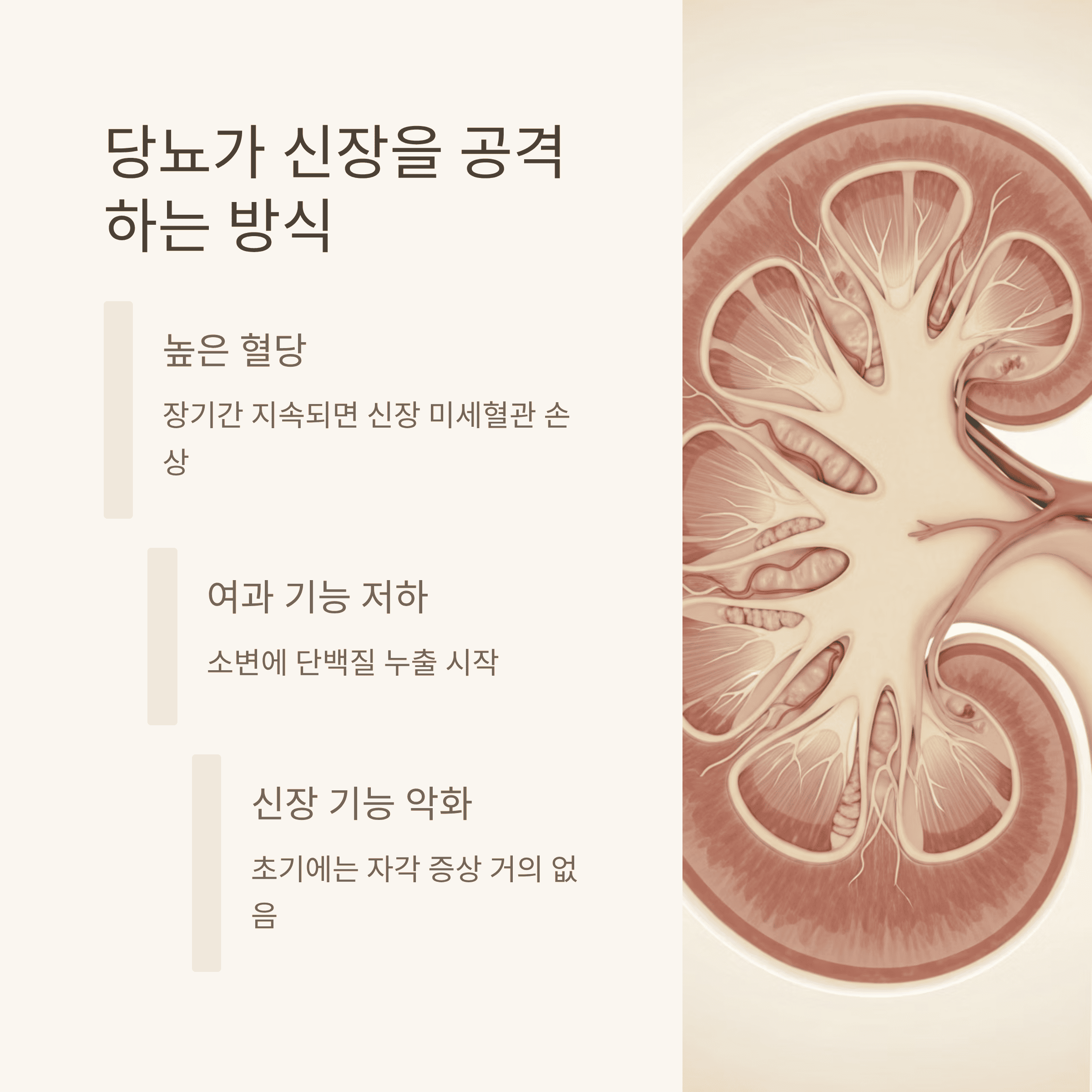 당뇨가 신장을 갉아먹기 전에 관리하는 법