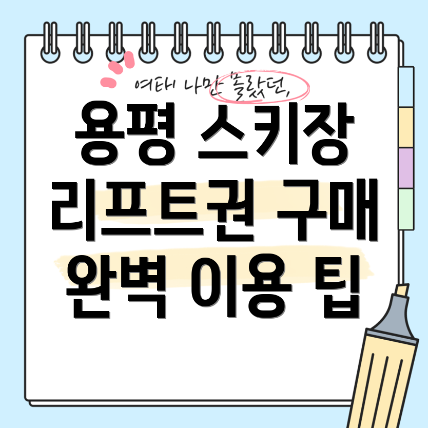 용평 스키장 리프트권