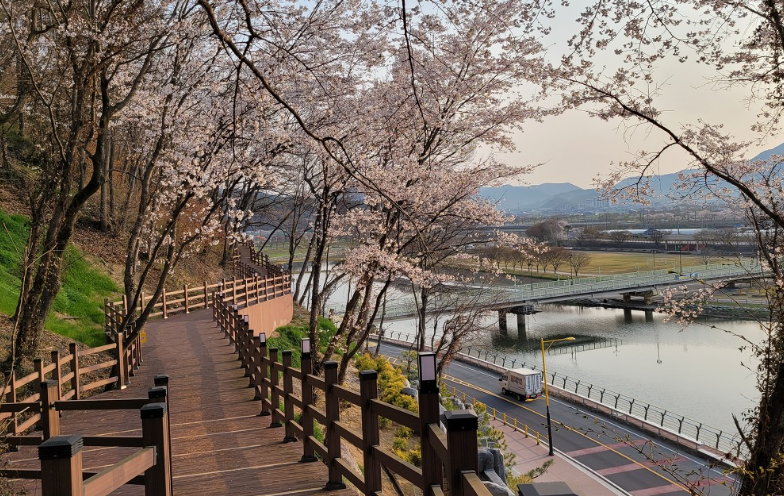 전남벚꽃 명소