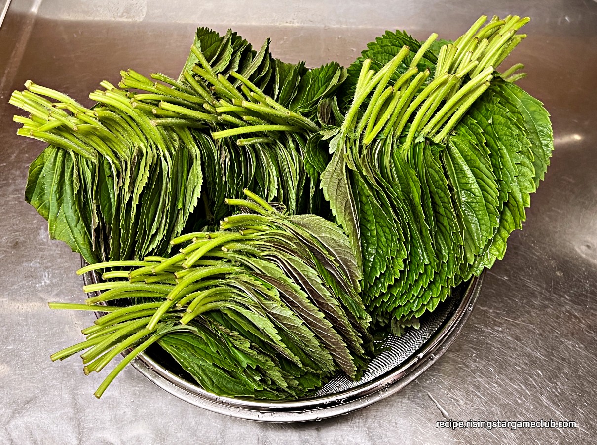 세척된 깻잎의 물기 제거를 위해 체반에 건져 놓은 사진