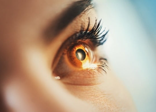 망막손상 이미지