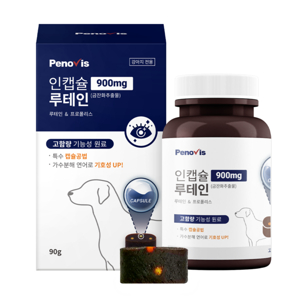 강아지 눈 영양제