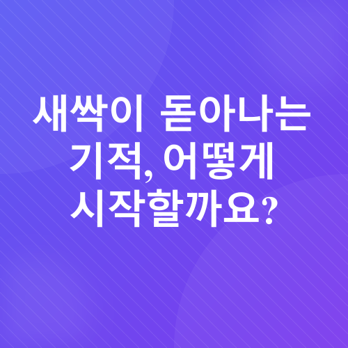 샐러드채소 키우기_1