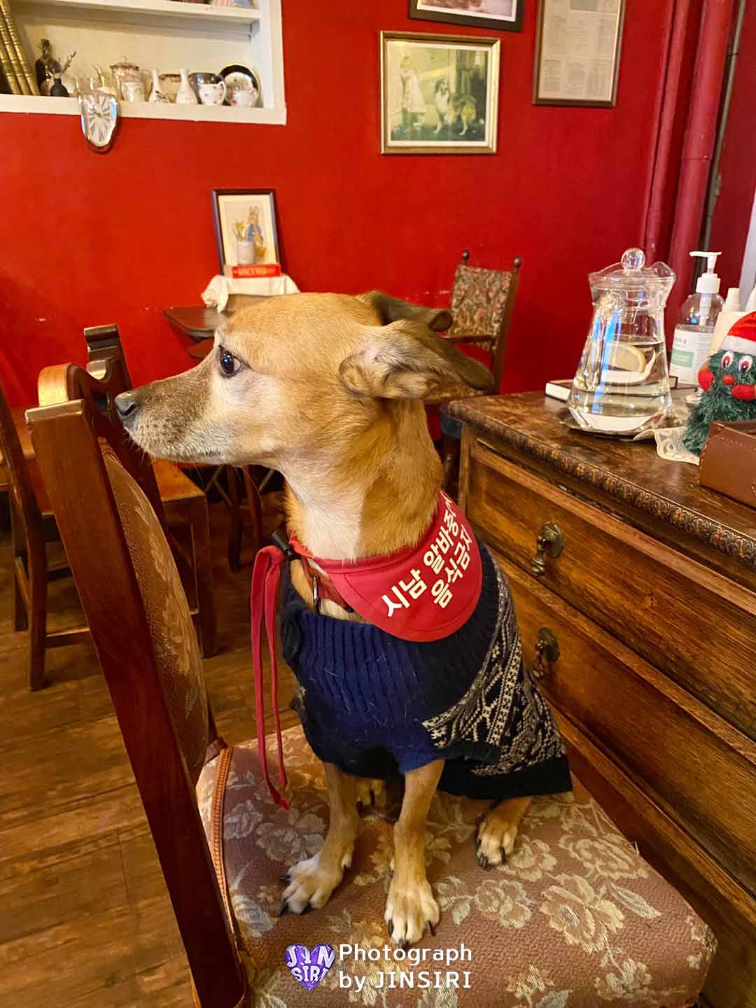 서울 을지로 카페 와인바 칵테일 힙지로 핫플 데이트