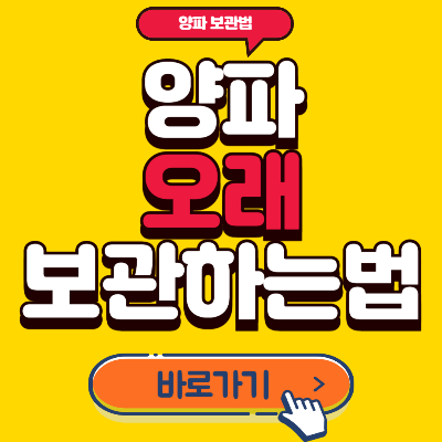 양파보관법