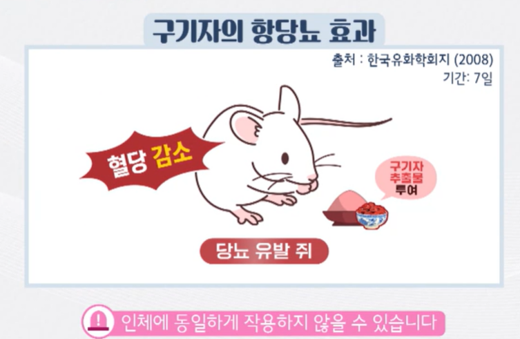 구기자 효능