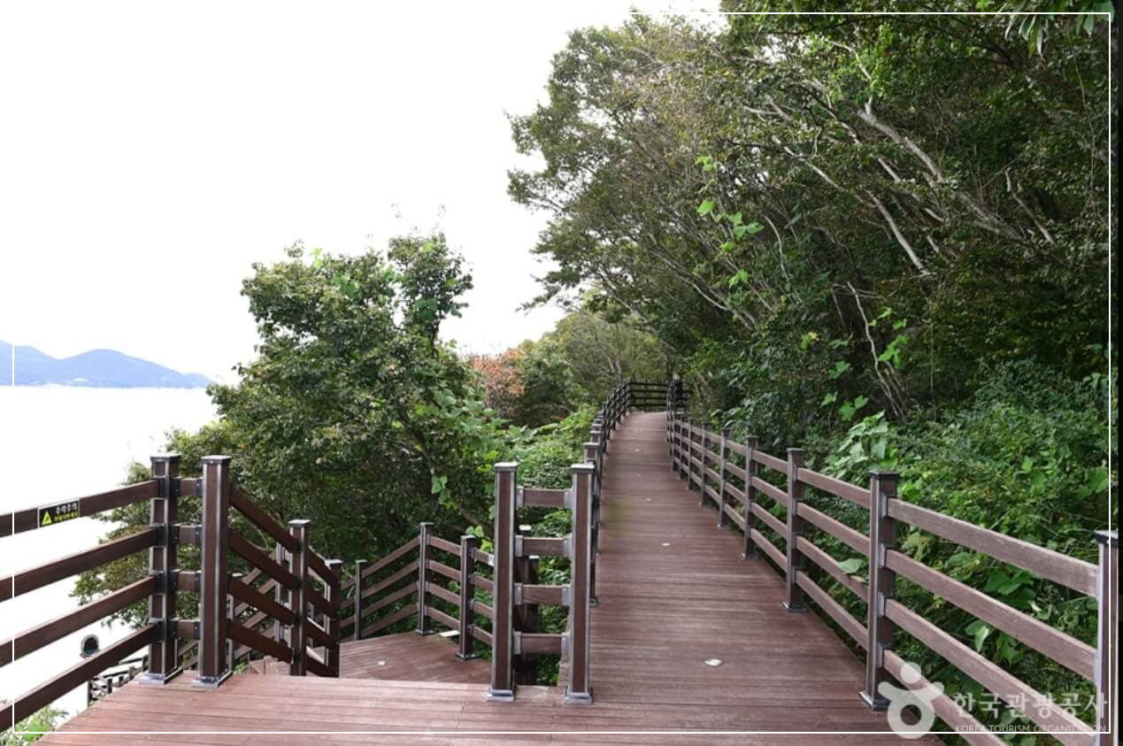 완도 가볼만한곳 베스트10 약산 해안 치유의 숲