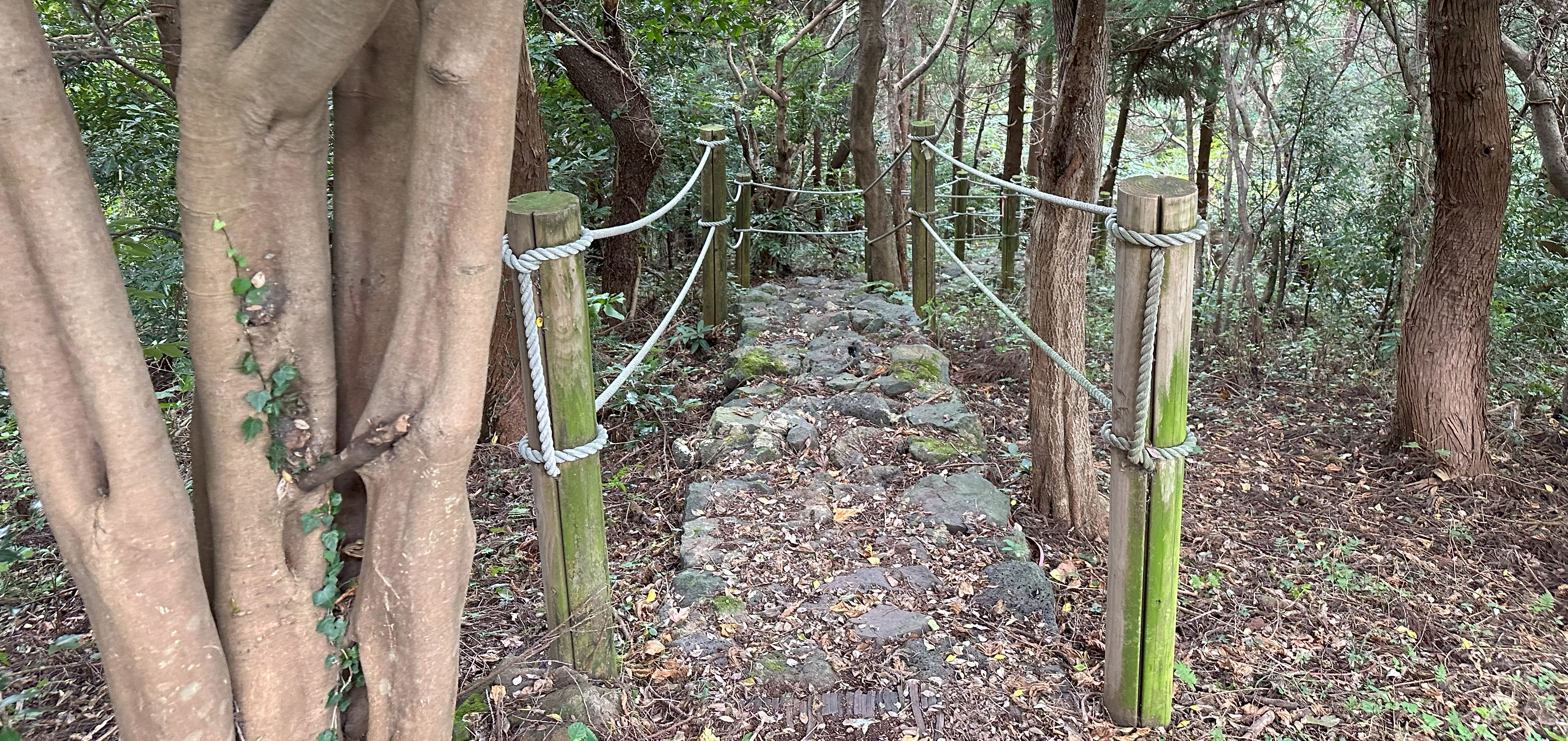 북오름 산책로