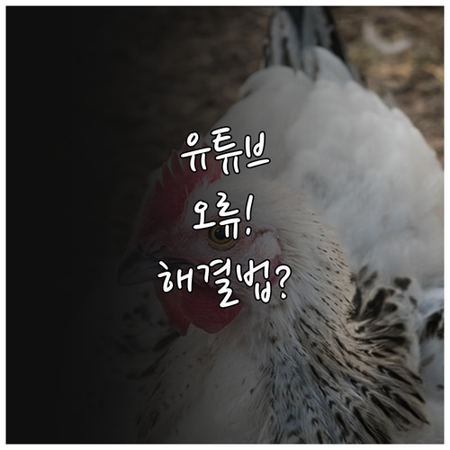 유튜브 라이트 오류 해결 캐시 정리부..