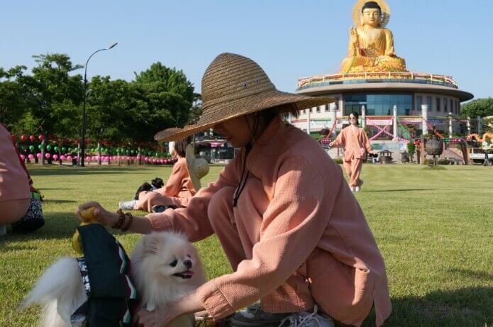 홍법사 잔디밭에서 강아지를 산책시키는 여자