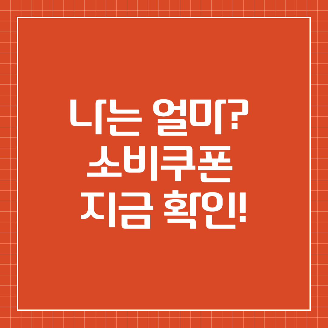 민생회복 소비쿠폰