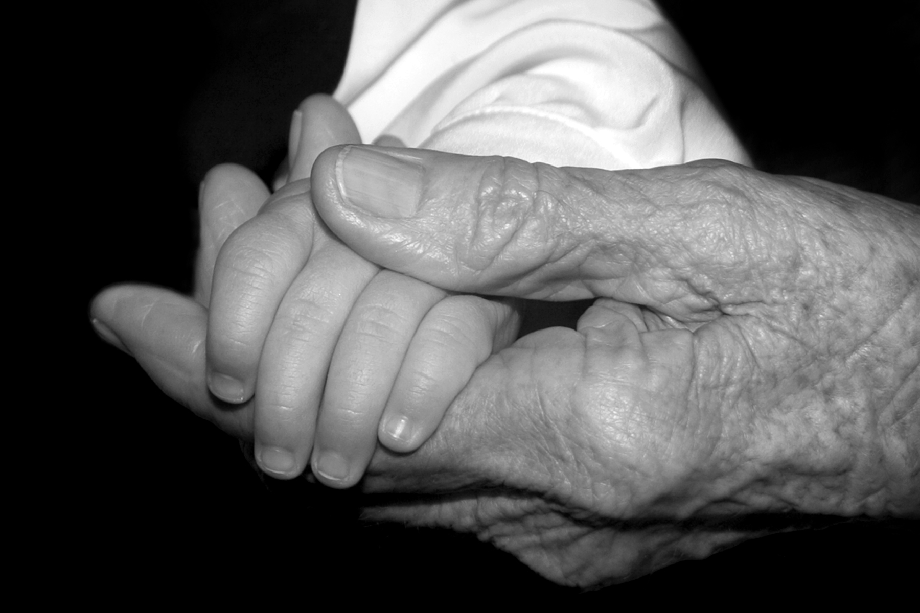 노인과 아이의 손