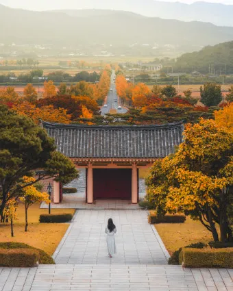 가을 경주 여행 가볼만한곳 베스트 10으로 정리_10