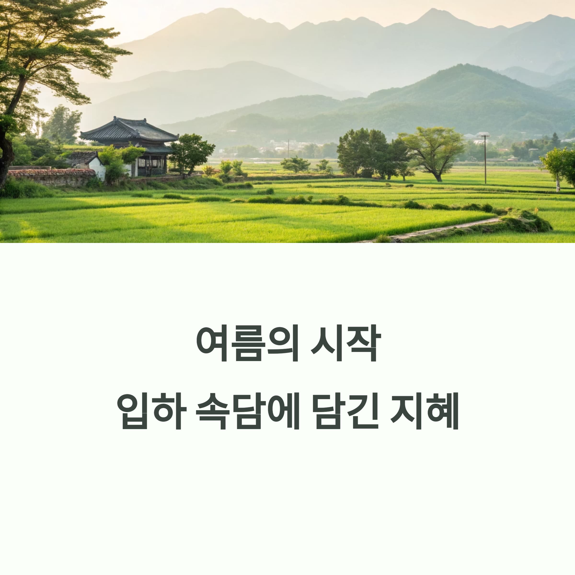 입하-속담