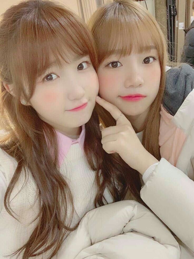 아이즈원 프로듀스48 사진 모음 아이즈원 프로듀스48 사진 모음