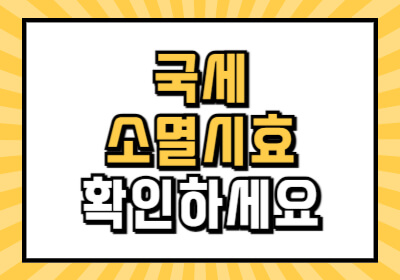 국세 소멸시효 확인 대상자