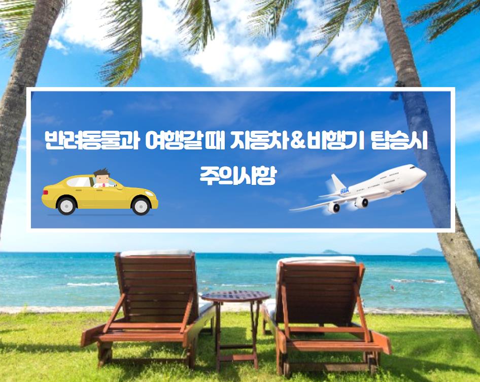 반려동물 여행