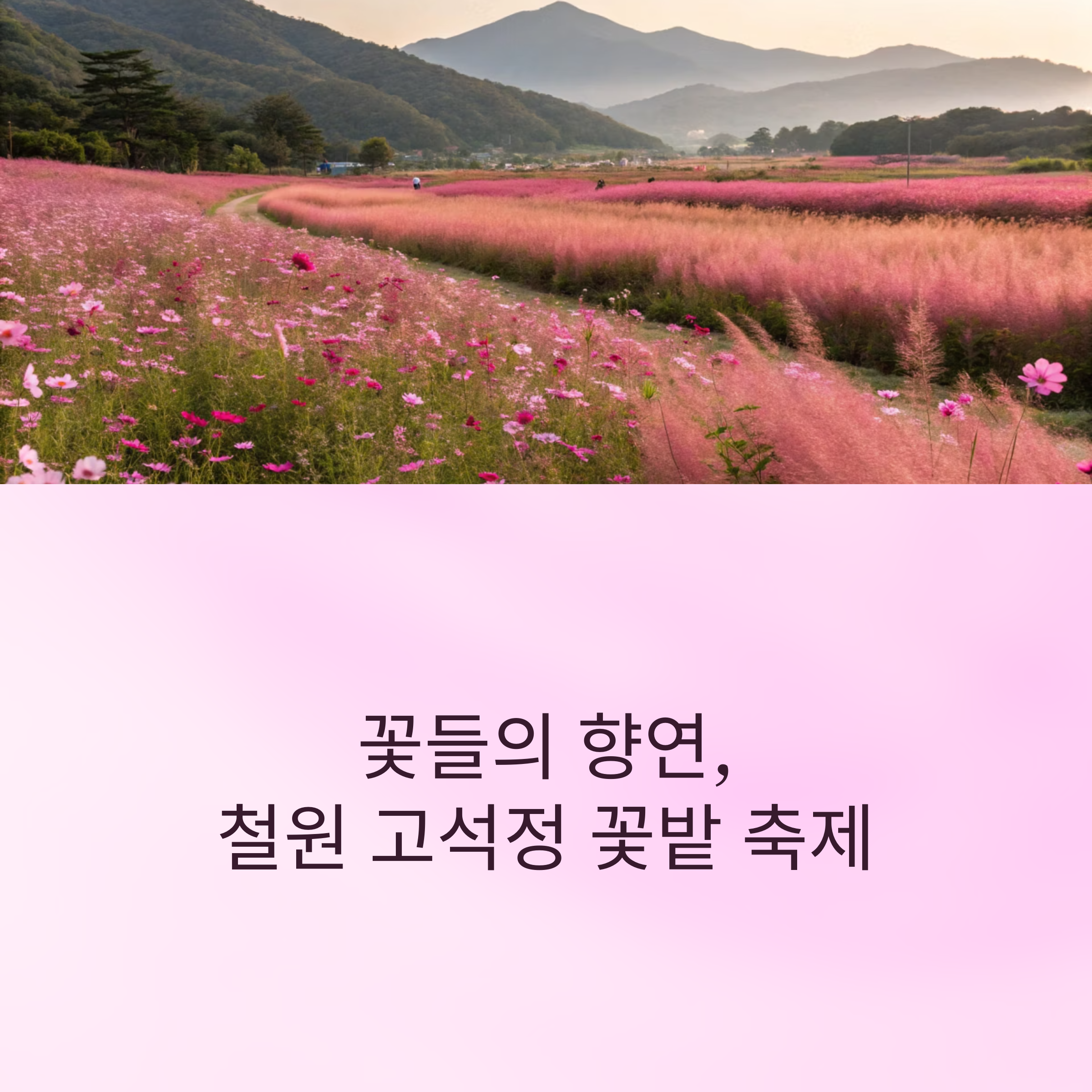 철원 고석정 꽃밭 축제