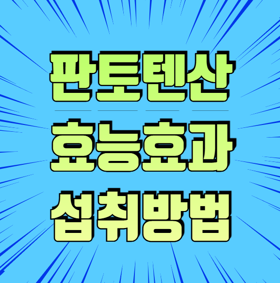 판토텐산 효능 효과