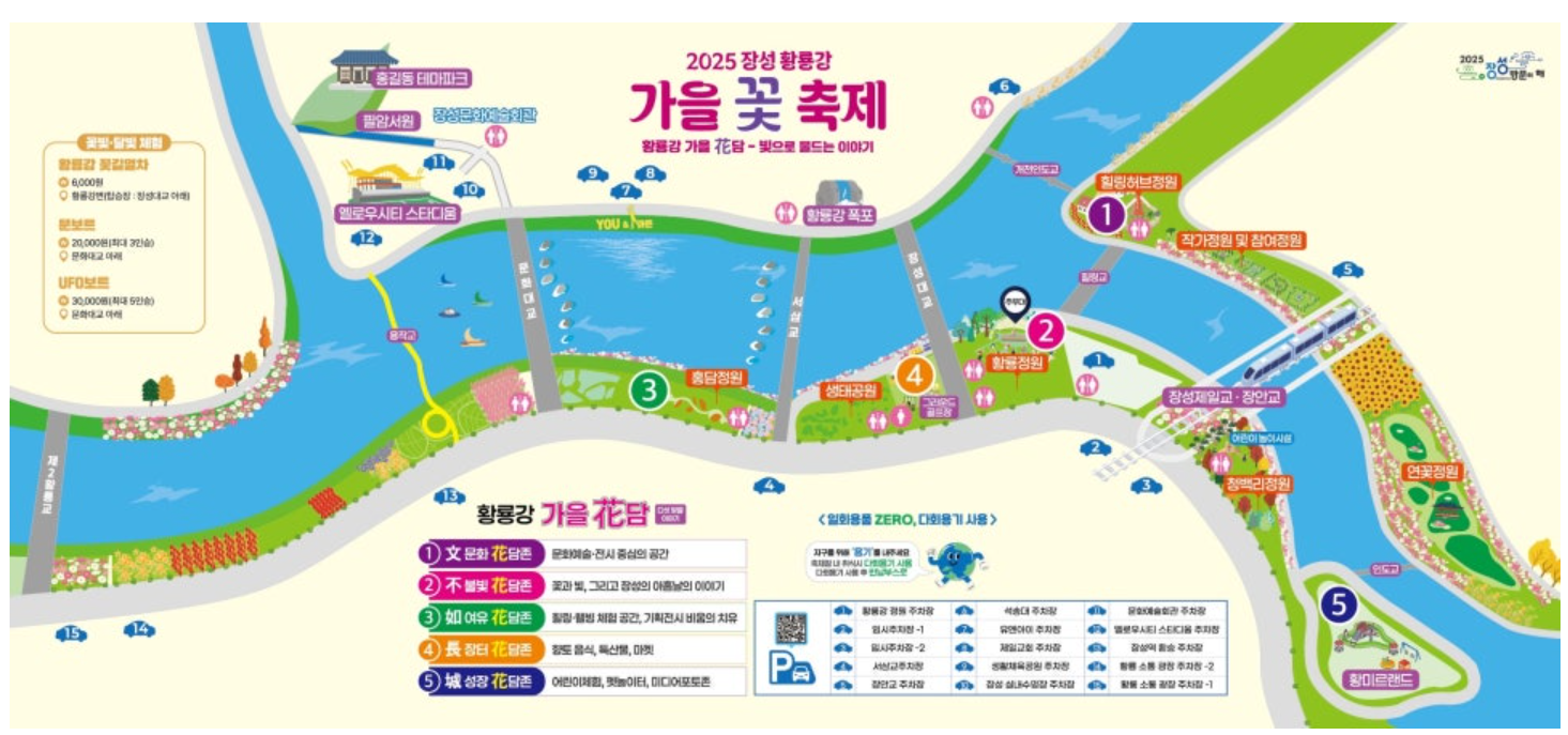 장성-황룡강-가을꽃축제