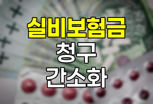 실비보험금 청구 간소화 및 신속처리 방법