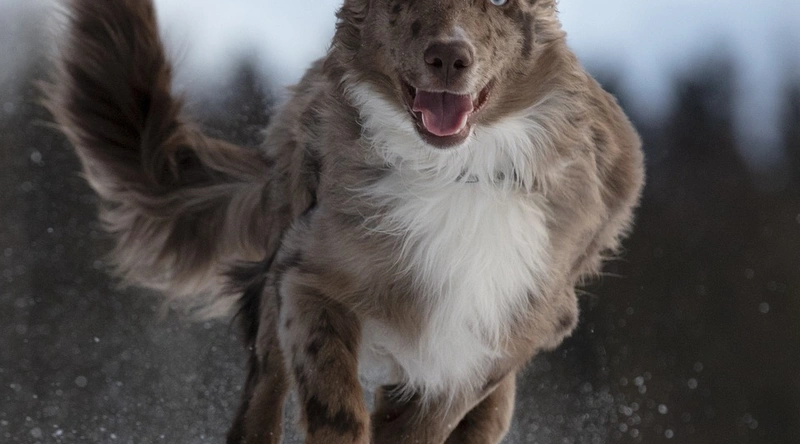 야간작업, 안전수칙과 효율적 운영
