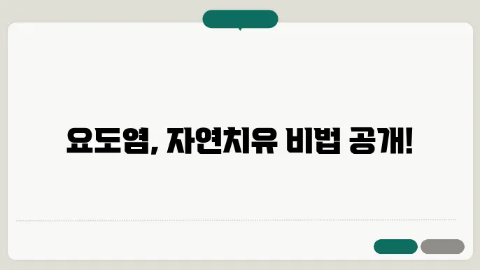 요도염에 좋은 차와 약초