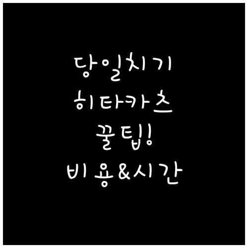 히타카츠 당일치기 비용과 시간표 정리..
