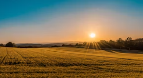 토지거래 허가제란 토지거래 허가제 해제