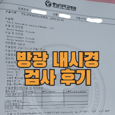실제 방광암 수술받은 내역
