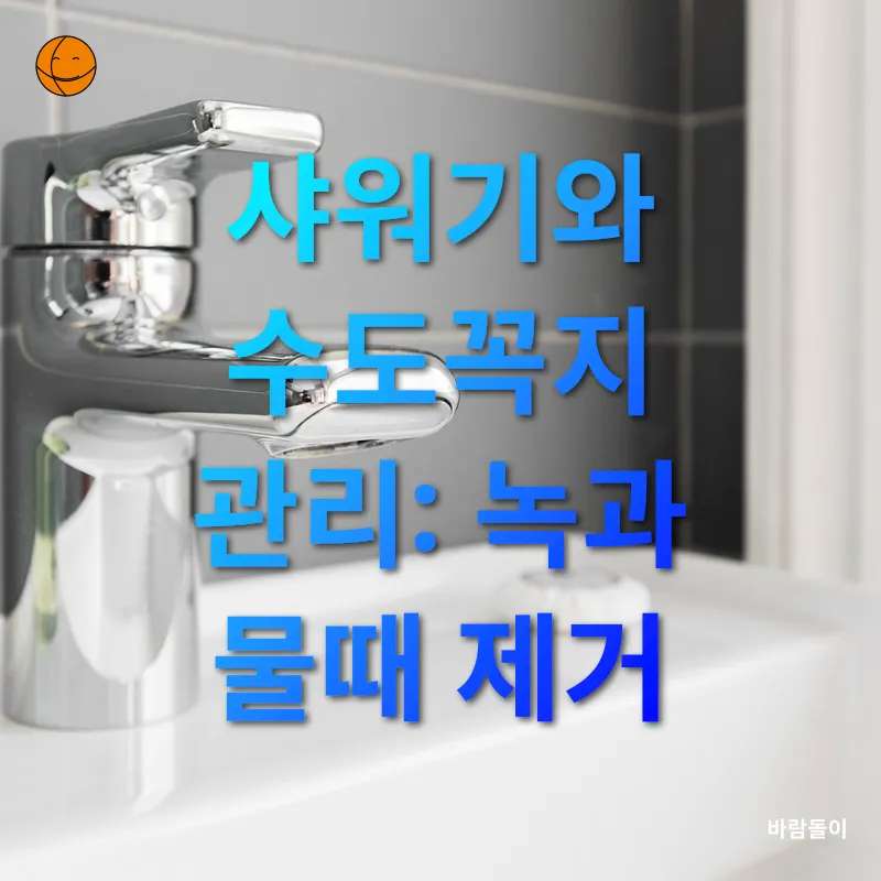 친환경 화장실 청소_3