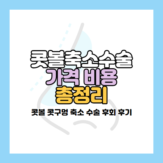콧볼축소수술 가격