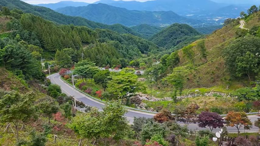오도재 능선과 굽이 도로, 초록 숲과 단풍나무가 어우러진 산자락 조망