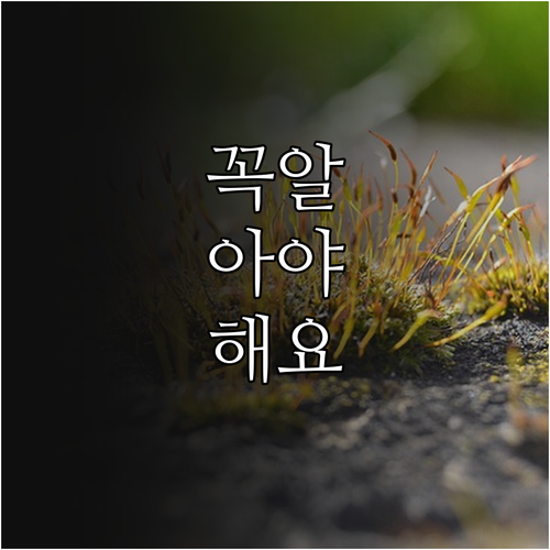 전신마취 걱정 끝 2025 경기도 장..