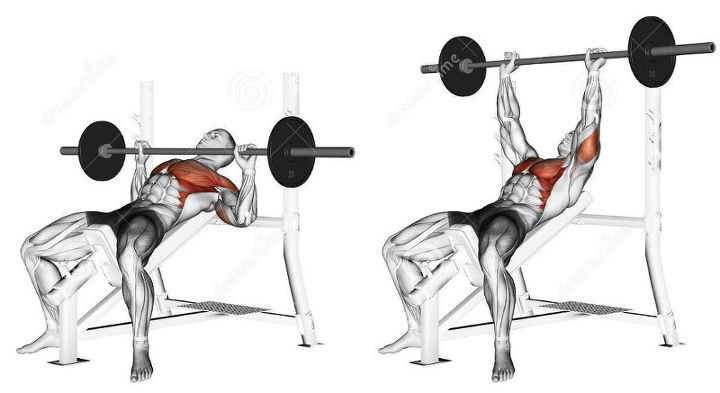인클라인 벤치프레스 하는 모습