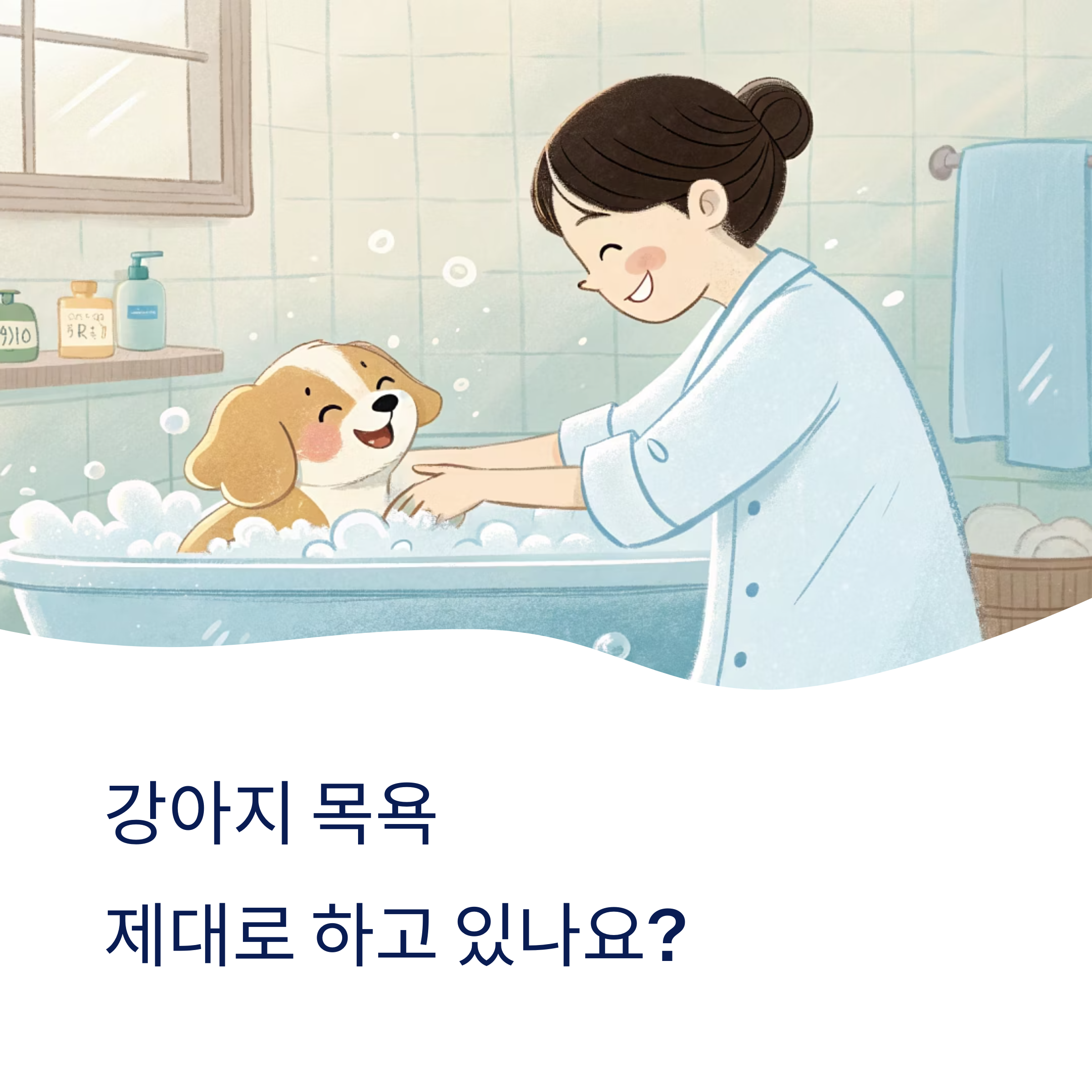 강아지 목욕, 순서부터 주의할 점까지